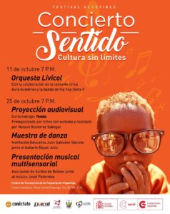 Festival Accesible Concierto Sentido