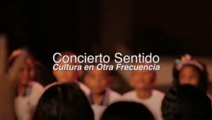 concierto sentido portada